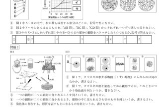 中3理科「細胞分裂・染色体」学習プリント無料ダウンロード・印刷